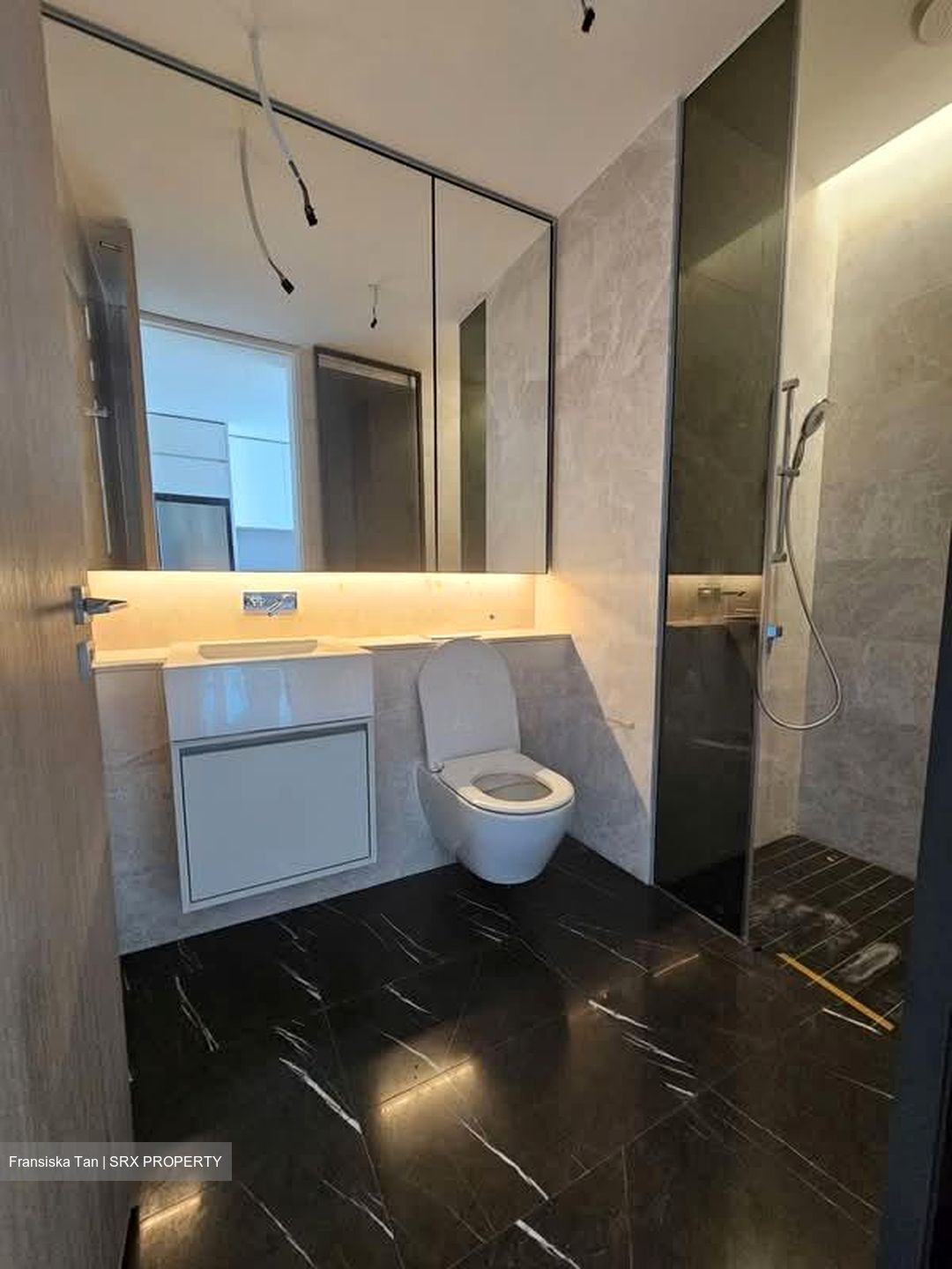 Amber Park (D15), Condominium #528017221